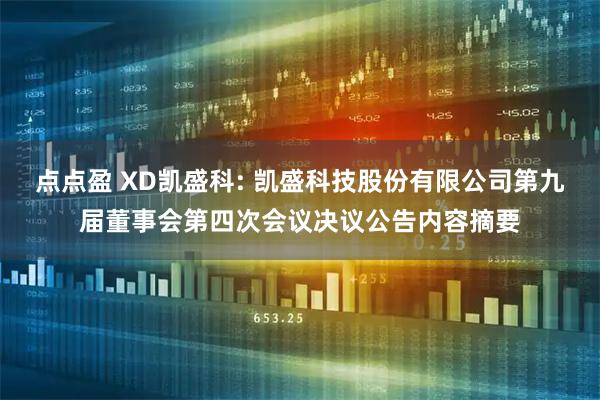 点点盈 XD凯盛科: 凯盛科技股份有限公司第九届董事会第四次会议决议公告内容摘要