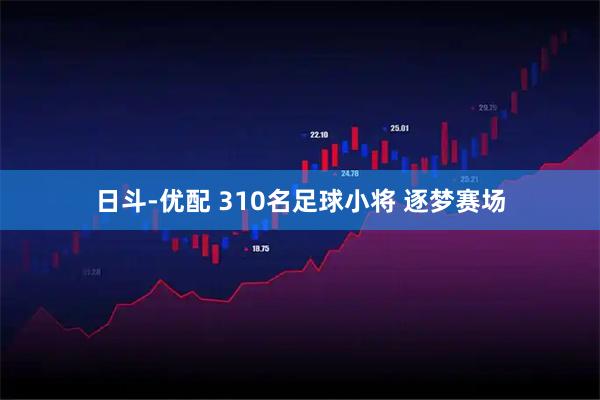 日斗-优配 310名足球小将 逐梦赛场