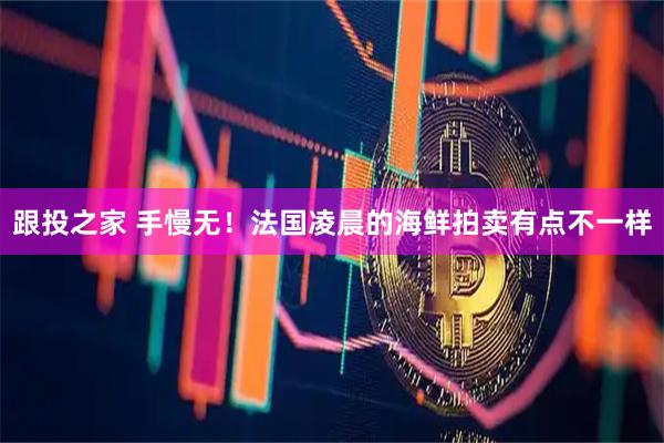 跟投之家 手慢无！法国凌晨的海鲜拍卖有点不一样
